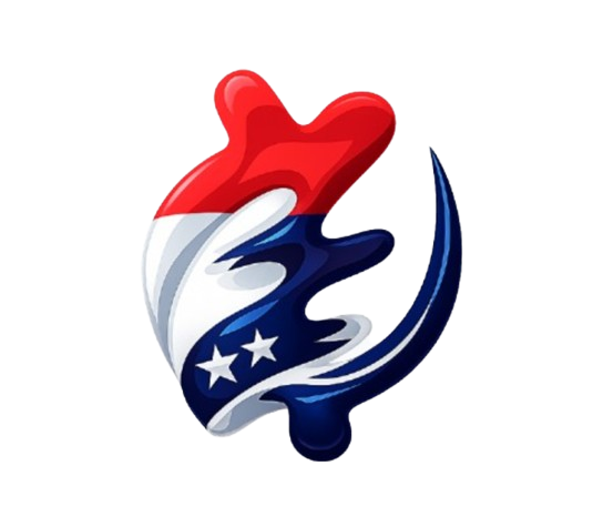 DoorForce logo